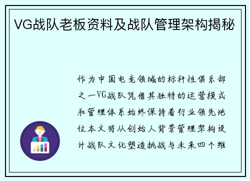 VG战队老板资料及战队管理架构揭秘