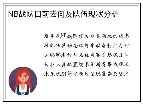NB战队目前去向及队伍现状分析